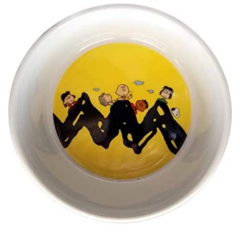 Peanuts Snoopy Pet Food Bowl Charlie Brown Stoneware